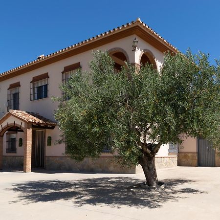 Casa Los Olivos Alora - Caminito Del Rey Kültér fotó
